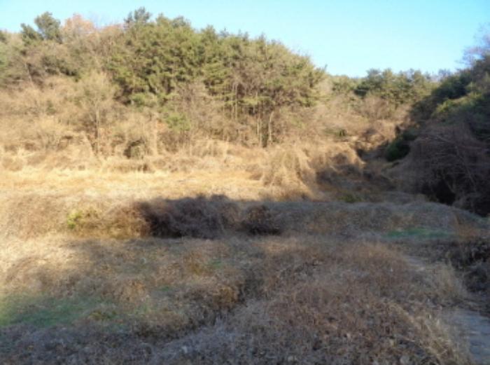 경남 남해군 서면 정포리 888 답 사진 6