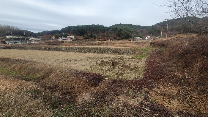 2023타경38792 법원경매 사진2 | 경남 남해군 토지 경매