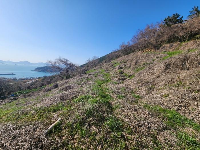 2024타경1575 법원경매 사진2 | 경남 남해군 토지 경매