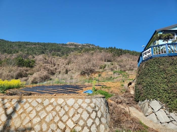2024타경1575 법원경매 사진4 | 경남 남해군 토지 경매