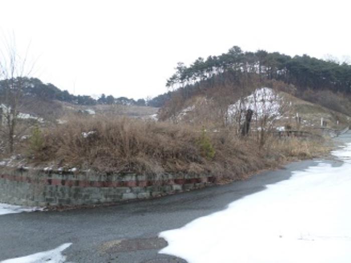 법원경매 2024타경400106 사진21 | 원주시 판부면 서곡리 토지 경매