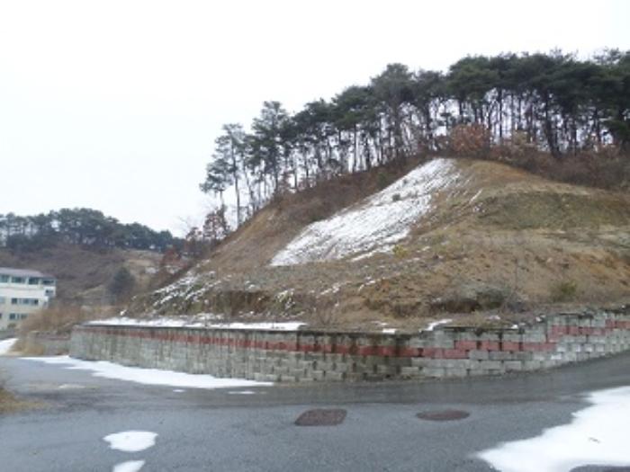 법원경매 2024타경400106 사진23 | 원주시 판부면 서곡리 토지 경매