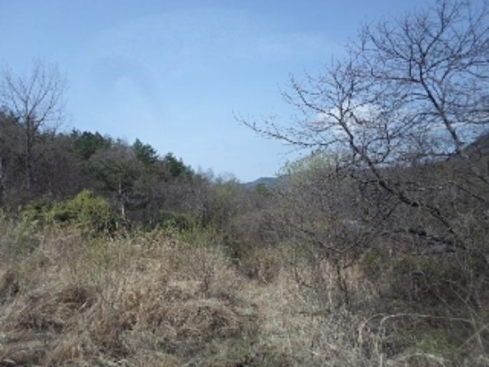 2024타경493 법원경매 사진3 | 경남 밀양시 토지 경매