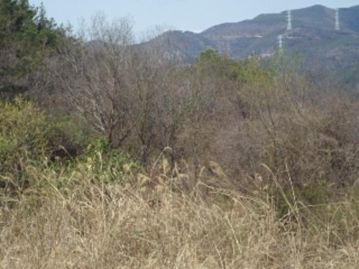2024타경493 법원경매 사진6 | 경남 밀양시 토지 경매