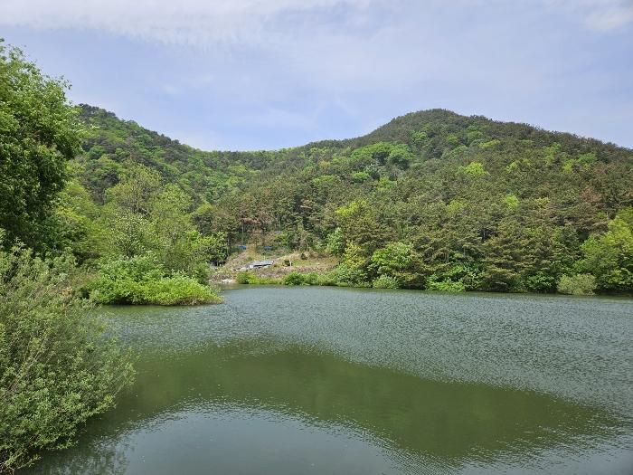 경상남도 김해시 진례면 청천리 1007 법원경매 물건 대표사진