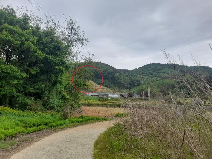 법원경매 2024타경43493 사진5 | 안성시 보개면 상삼리 토지 경매