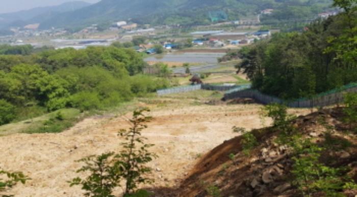 법원경매 2024타경43493 사진7 | 안성시 보개면 상삼리 토지 경매