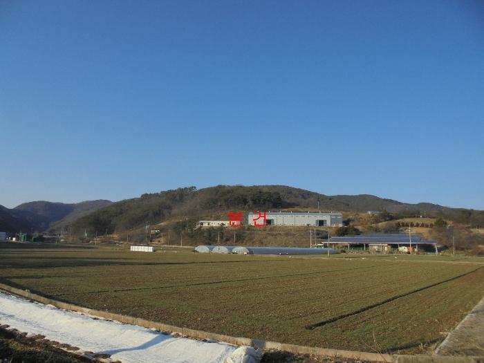 경상남도 의령군 지정면 오천리 323-3 법원경매 물건 대표사진