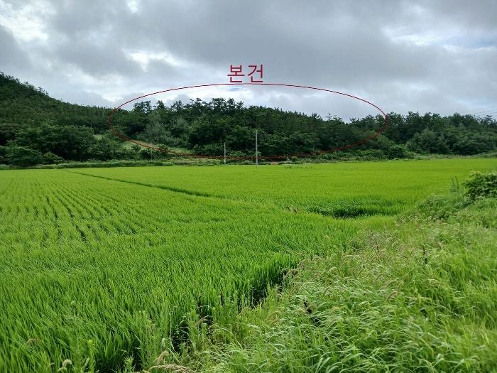 전라남도 신안군 도초면 이곡리 1427 법원경매 물건 대표사진
