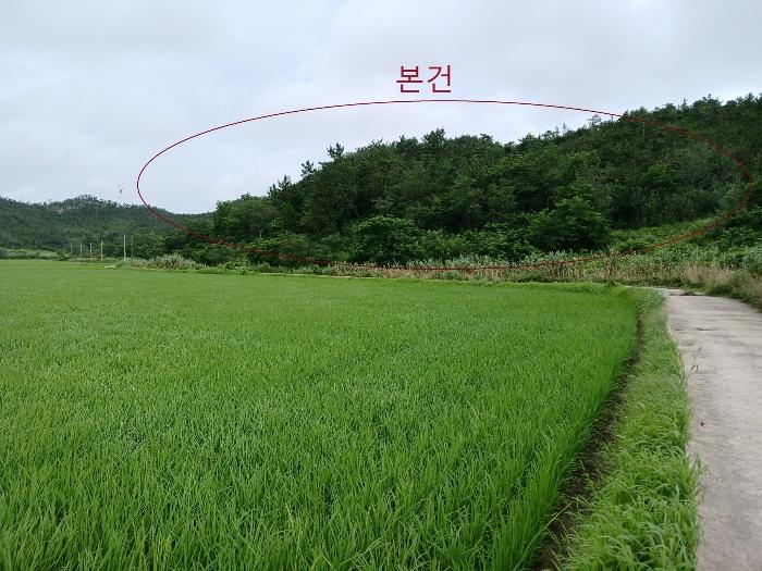 2024타경54397 법원경매 사진6 | 전남 신안군 전 경매