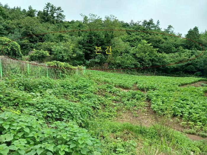 2024타경54397 법원경매 사진9 | 전남 신안군 전 경매