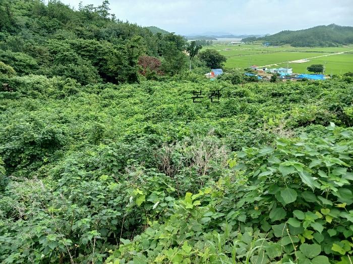2024타경54397 법원경매 사진5 | 전남 신안군 전 경매