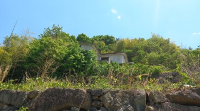 2024타경2199 법원경매 사진41 | 경남 거제시 토지 경매