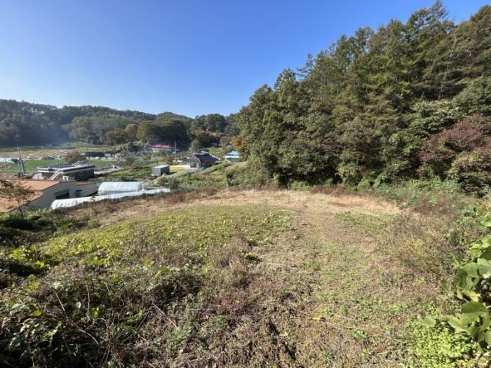 법원경매 2024타경60578 사진4 | 보은군 산외면 가고리 33 토지 경매