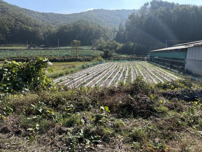 법원경매 2024타경60578 사진7 | 보은군 산외면 가고리 33 토지 경매