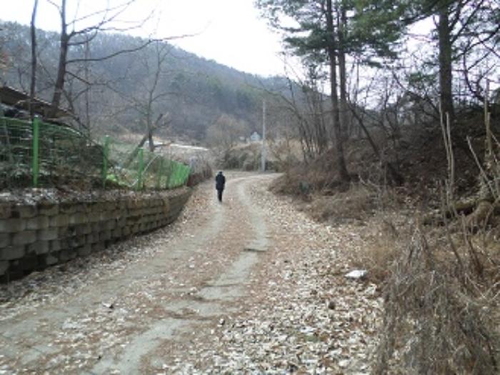 법원경매 2024타경346 사진14 | 원주시 부론면 노림리 11-4 토지 경매