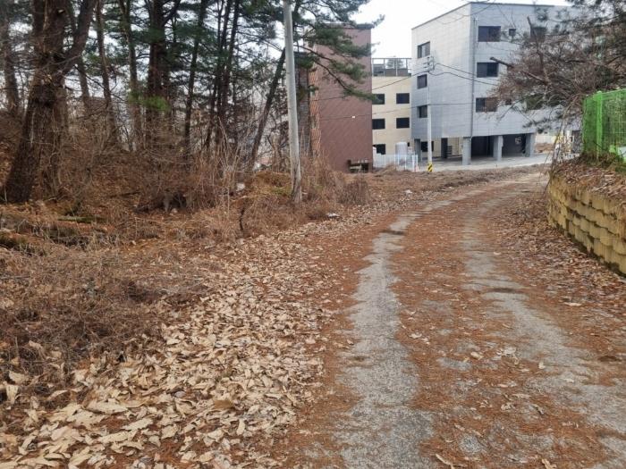 법원경매 2024타경346 사진3 | 원주시 부론면 노림리 11-4 토지 경매