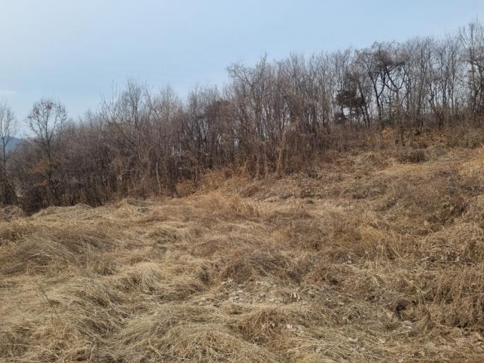 법원경매 2024타경346 사진6 | 원주시 부론면 노림리 11-4 토지 경매