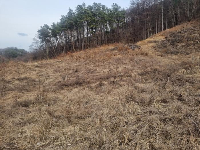 법원경매 2024타경346 사진9 | 원주시 부론면 노림리 11-4 토지 경매