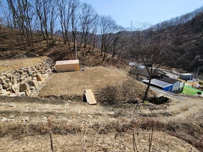 법원경매 2024타경490 사진6 | 횡성군 청일면 유동리 413 토지 경매
