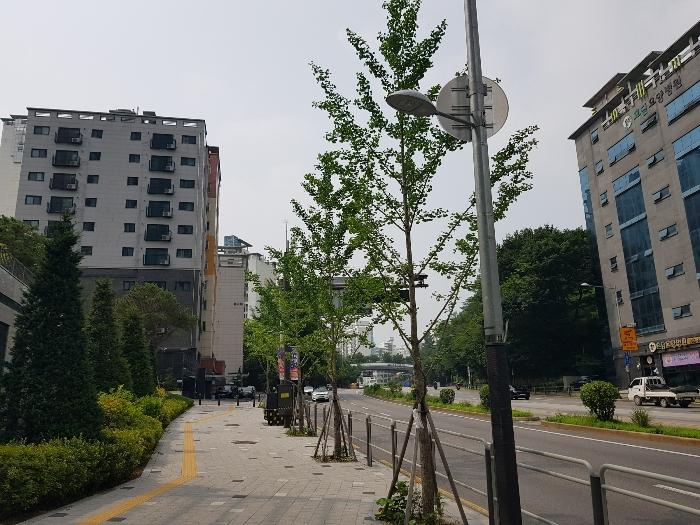 서울 서대문구 통일로 545, 5층502호 (홍은동,진 오피스텔 사진 3