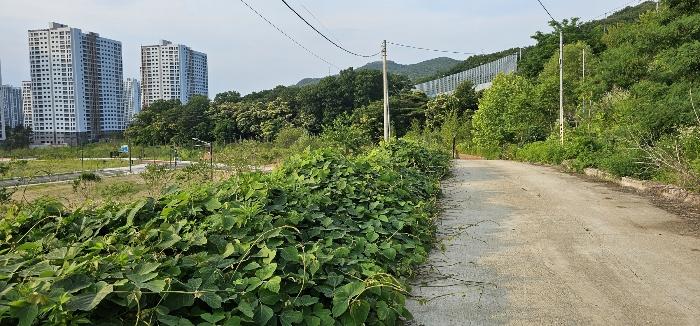 2024타경78081 법원경매 사진5 | 경기 의정부시 토지 경매