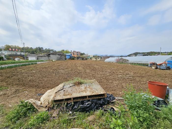 2024타경708 법원경매 사진6 | 경남 함안군 토지 경매