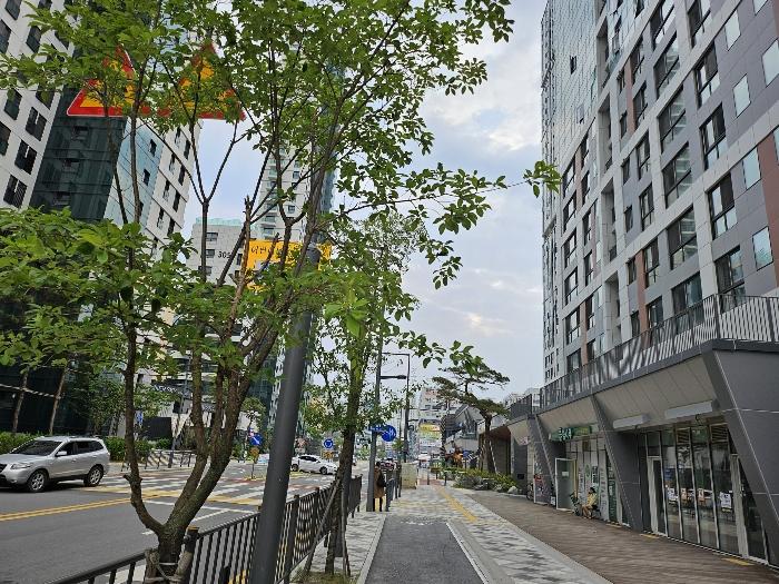 2024타경6007 법원경매 사진7 | 세종 나성북로 근린상가 경매