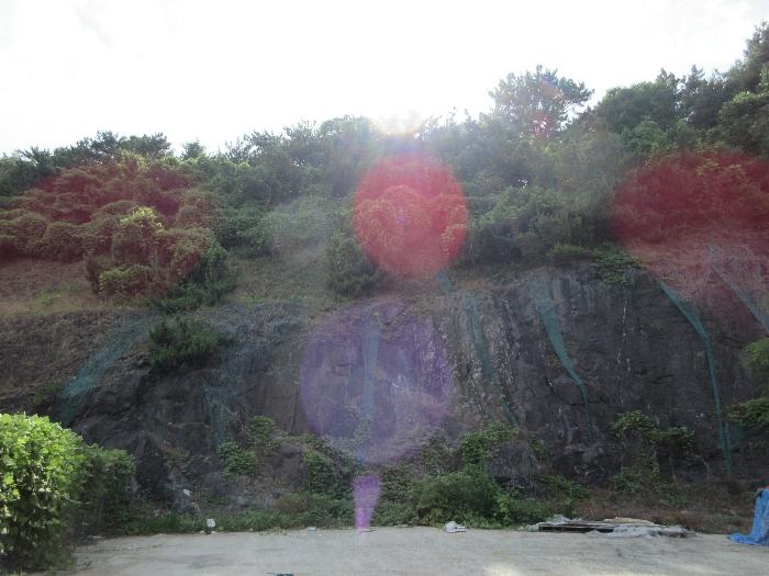 법원경매 2024타경2205 사진4 | 거제시 장평동 1124-4 공장 경매