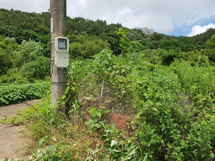 전남 영암군 학산면 독천리 118 답 사진 4