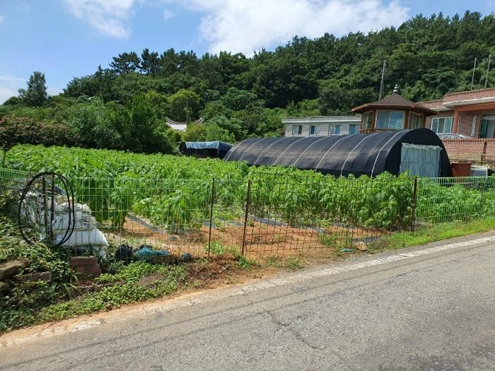 전남 영암군 학산면 독천리 118 답 사진 5