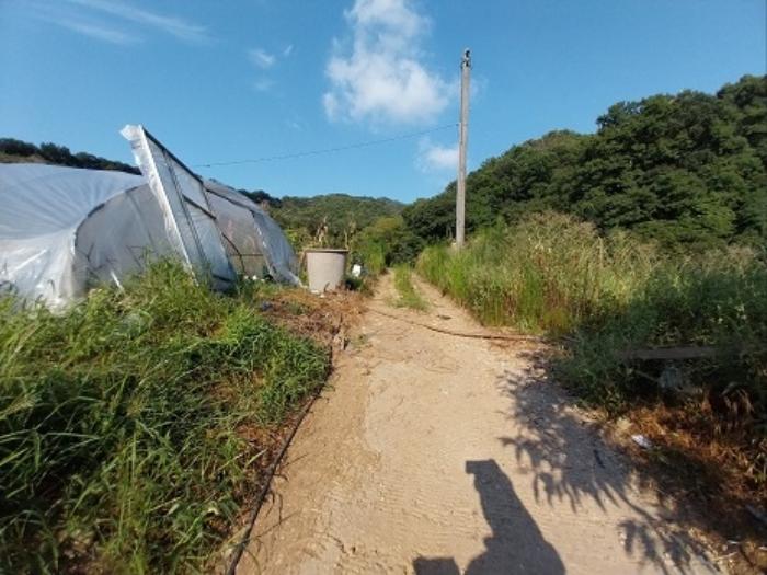 2024타경21305 법원경매 사진12 | 충남 공주시 토지 경매