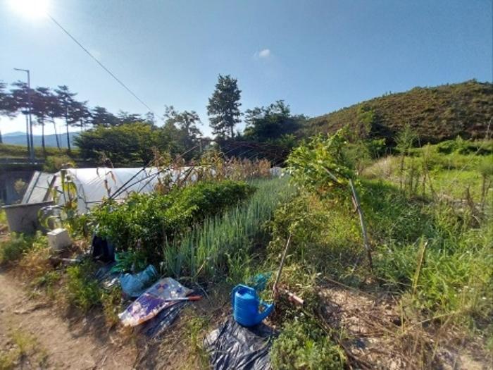 2024타경21305 법원경매 사진13 | 충남 공주시 토지 경매