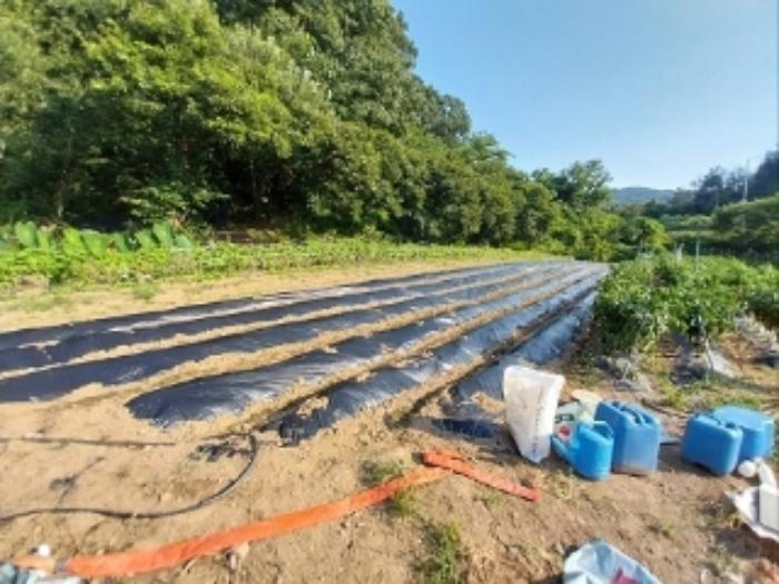 2024타경21305 법원경매 사진17 | 충남 공주시 토지 경매