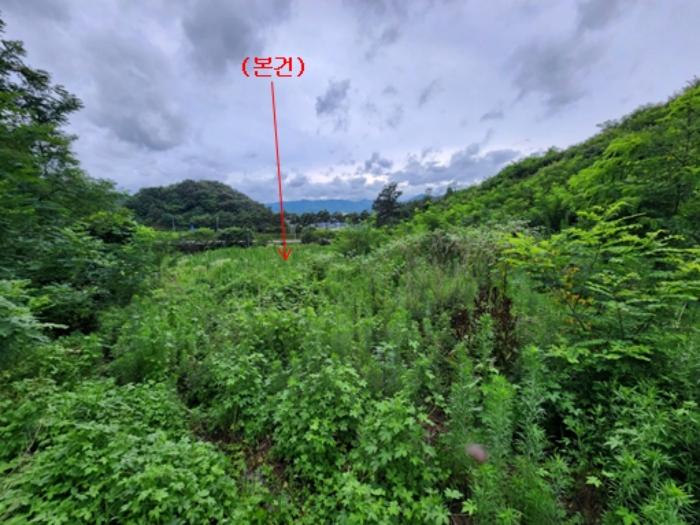 2024타경21305 법원경매 사진2 | 충남 공주시 토지 경매