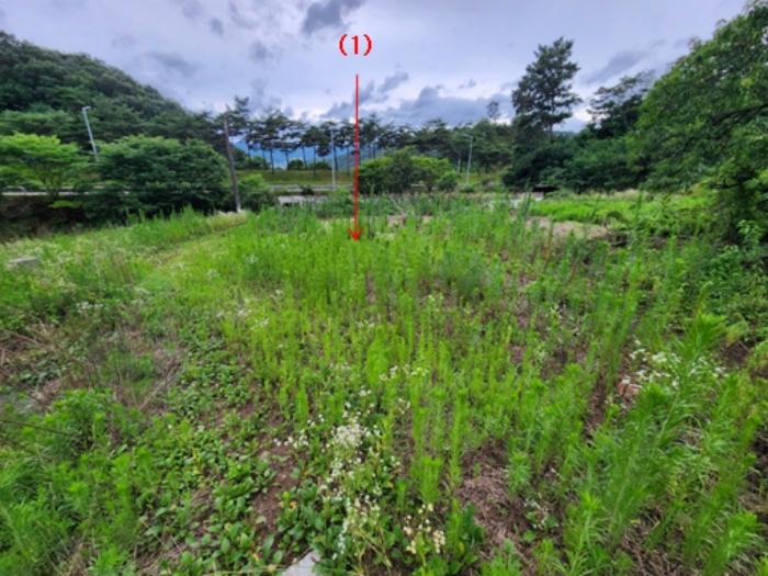 2024타경21305 법원경매 사진3 | 충남 공주시 토지 경매