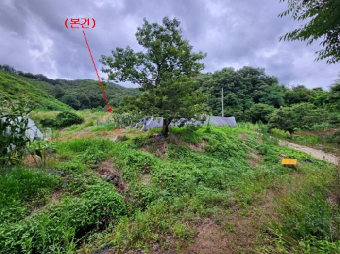 법원경매 2024타경21305 사진7 | 공주시 유구읍 유구리 64 토지 경매