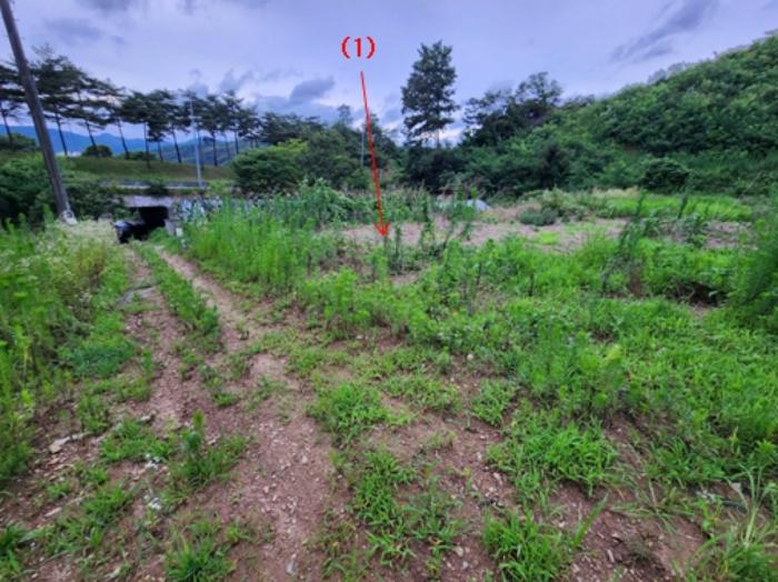 법원경매 2024타경21305 사진8 | 공주시 유구읍 유구리 64 토지 경매