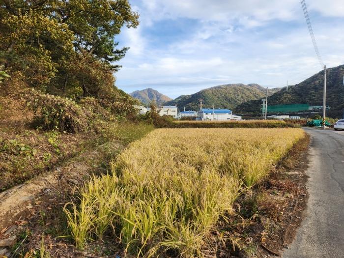 경상남도 함안군 칠원읍 무기리 703-3 법원경매 물건 대표사진