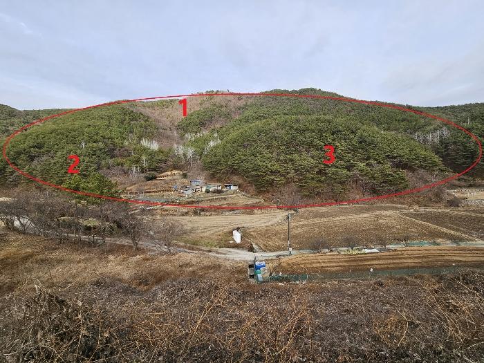 경상남도 창원시 마산합포구 진전면 봉암리 산22 법원경매 물건 대표사진
