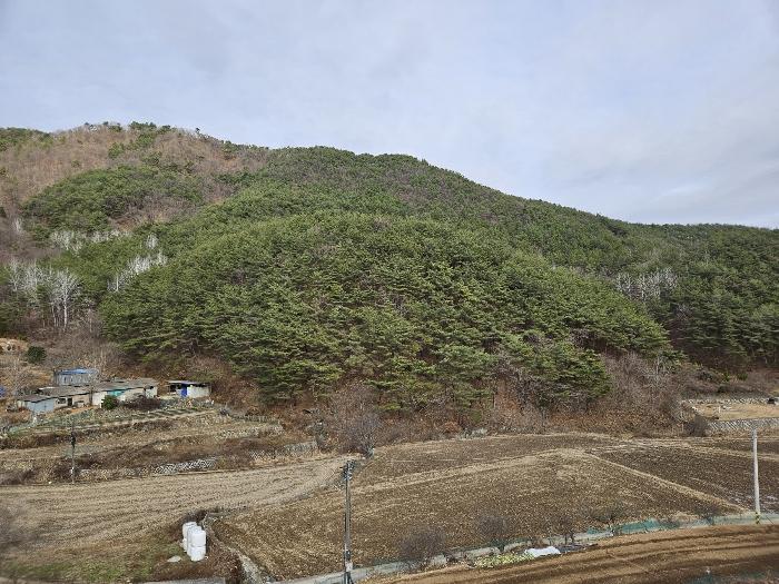2023타경3786 법원경매 사진5 | 창원 마산합포구 토지 경매
