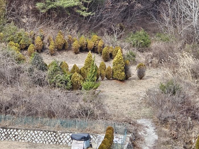 2023타경3786 법원경매 사진6 | 창원 마산합포구 토지 경매
