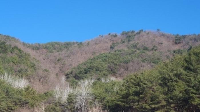 2023타경3786 법원경매 사진8 | 창원 마산합포구 토지 경매