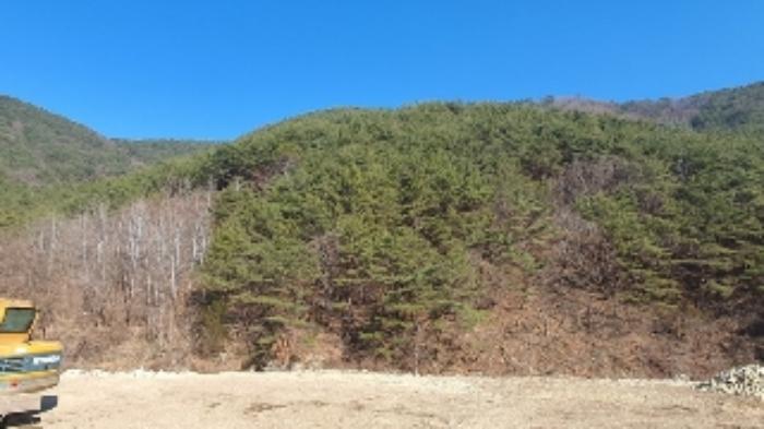 2023타경3786 법원경매 사진9 | 창원 마산합포구 토지 경매