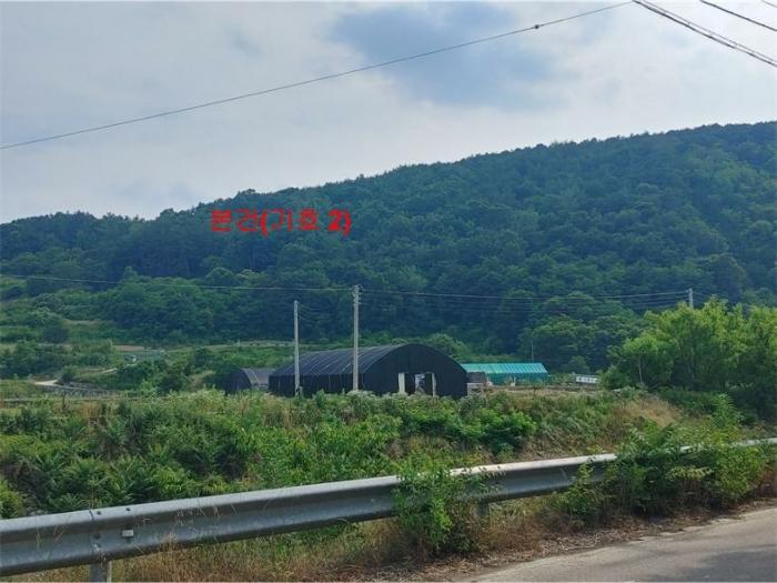 2024타경10851 법원경매 사진3 | 경남 합천군 토지 경매