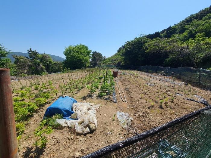 2024타경24427 법원경매 사진10 | 경남 거제시 토지 경매