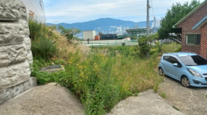 2024타경26249 법원경매 사진7 | 경남 거제시 토지 경매