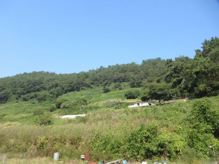 2024타경59176 법원경매 사진10 | 전남 여수시 토지 경매