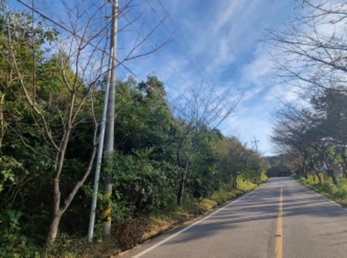 2024타경59176 법원경매 사진23 | 전남 여수시 토지 경매