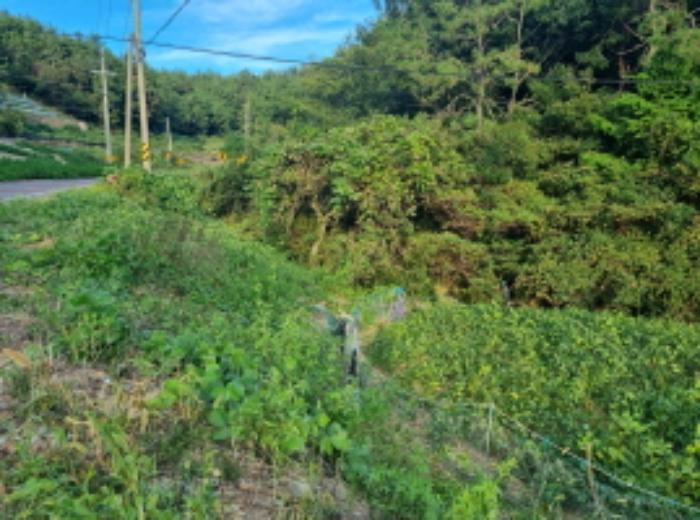 2024타경59176 법원경매 사진25 | 전남 여수시 토지 경매